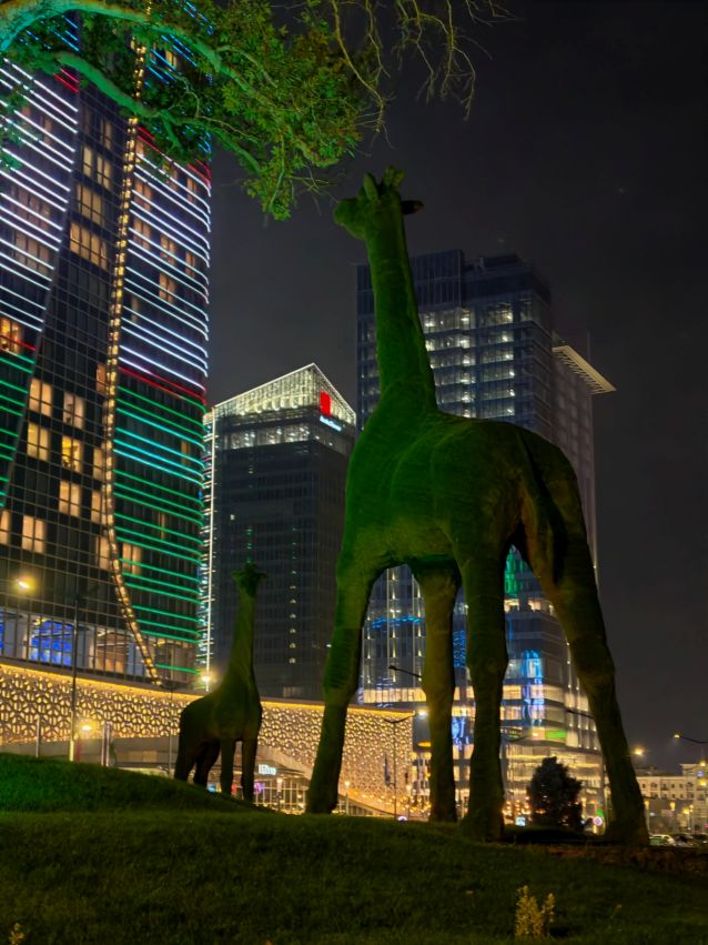 Oświetlone wieżowce w City Park